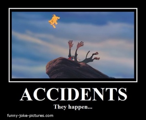 funny-lion-king-accident-picture